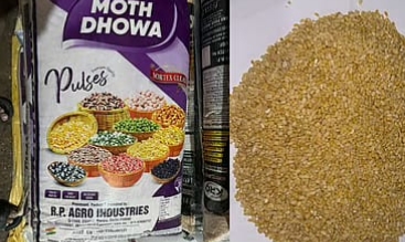 রাজস্থানের “মথ” ডাল এদেশে এসে বিক্রি হচ্ছে মুগ ডাল নামে