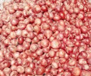 দেশের সর্ববৃহৎ পেঁয়াজ উৎপাদনকারী জেলা পাবনাতে হঠাৎ কেজিতে দাম বাড়লো ৪০ টাকা