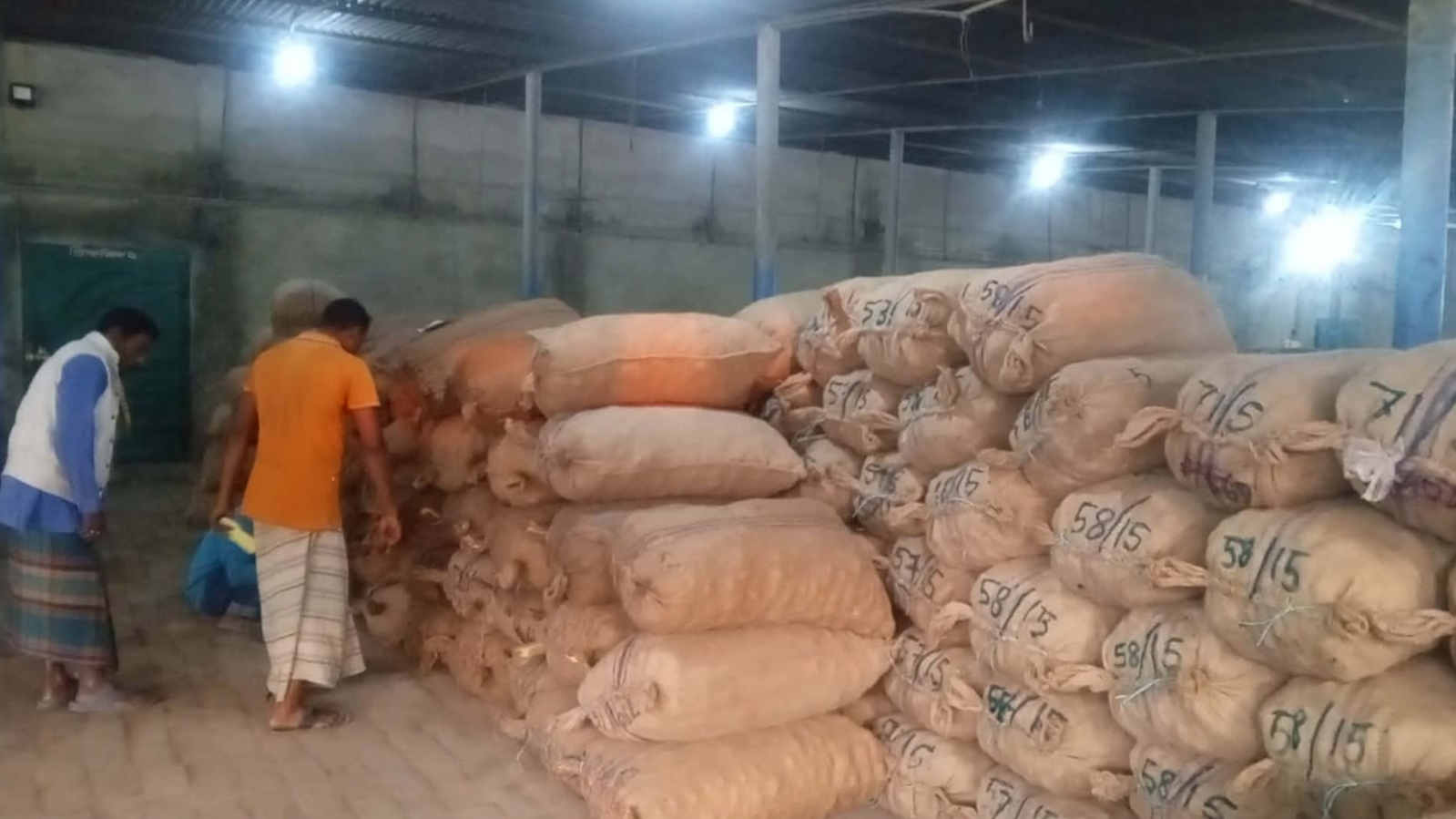 গঙ্গাচড়ায় এমএনটি হিমাগারে আলু সংরক্ষণ শুরু।। দেড় লাখ বস্তা আলু সংরক্ষণের সক্ষমতা