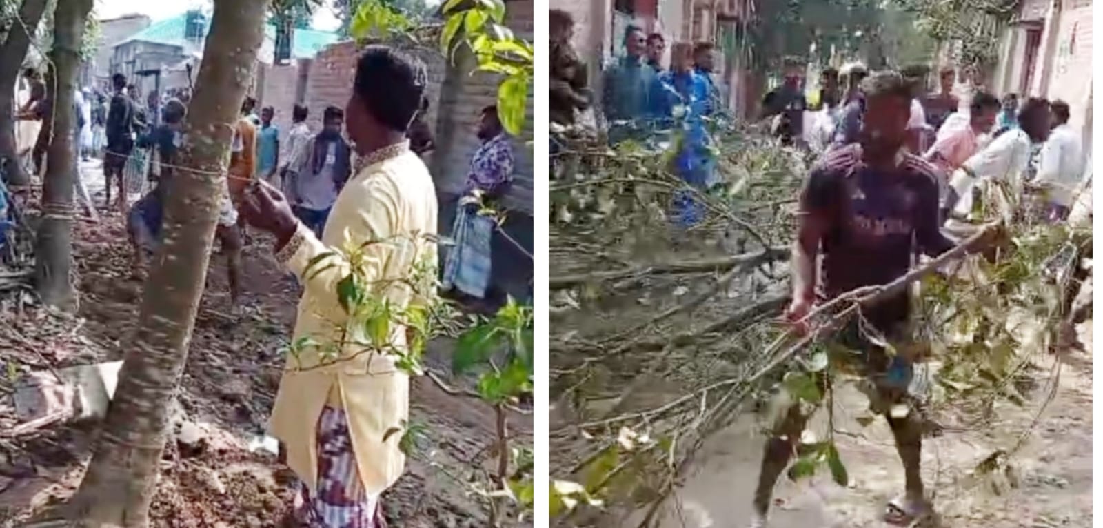 মিঠাপুকুরে বসতভিটায় হামলা: গাছ কেটে লাখ টাকার ক্ষতি, প্রাণনাশের হুমকির অভিযোগ