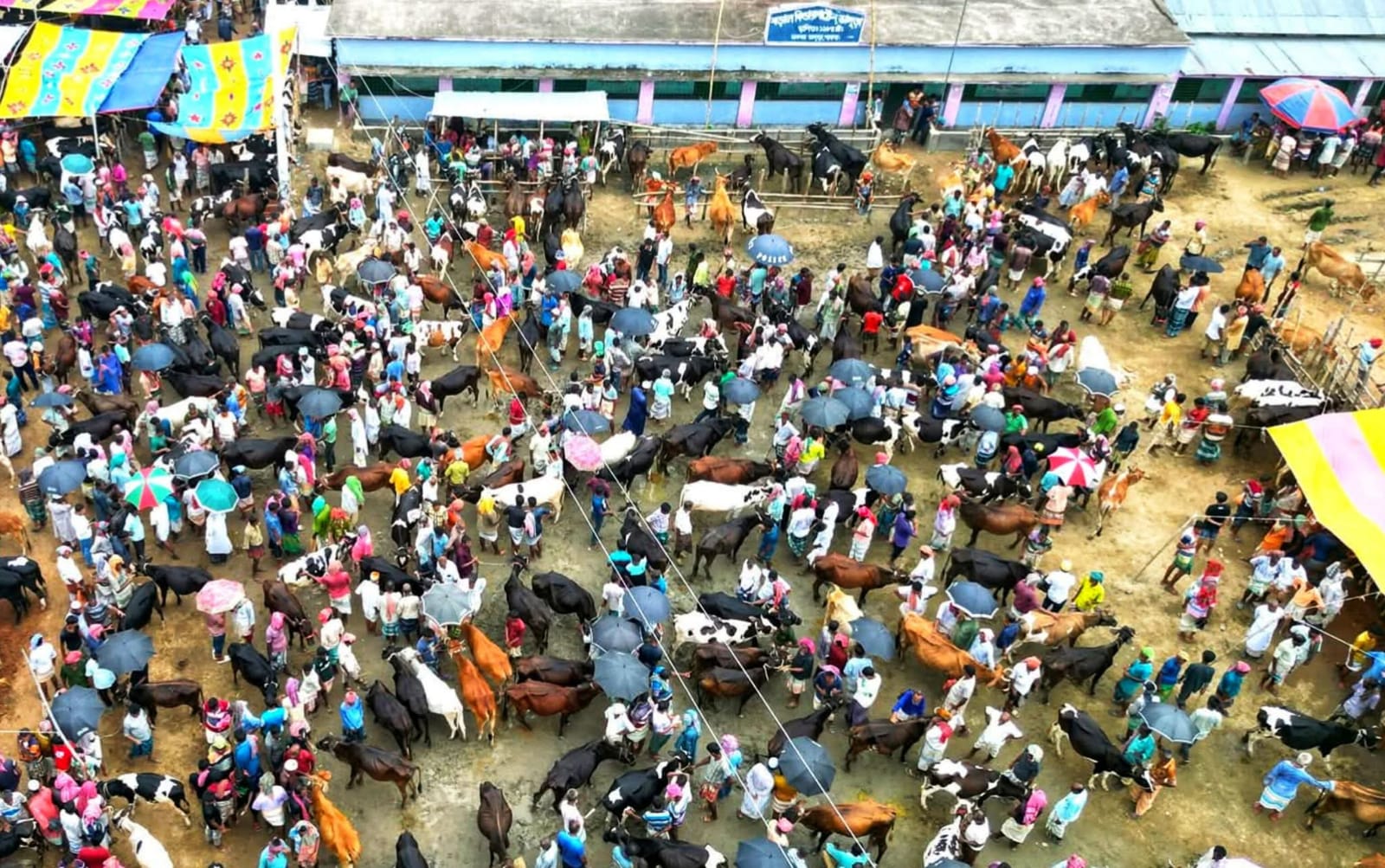 পাবনার ভাঙ্গুড়া শরৎনগর হাটের টোল রেট পুনঃনির্ধারণের দাবি; জেলা প্রশাসকের কাছে আবেদন