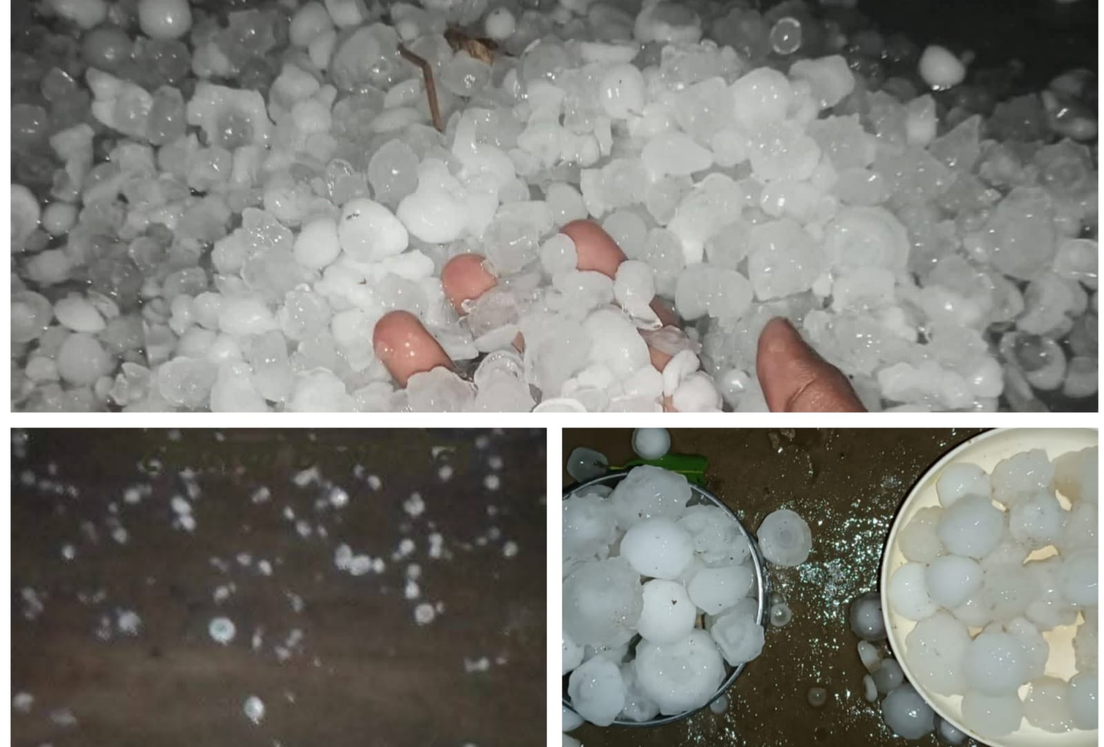 পাবনার ভাঙ্গুড়ায় কালবৈশাখী ঝড়, শিলা,বৃষ্টিতে ফসলের ব্যাপক ক্ষতি