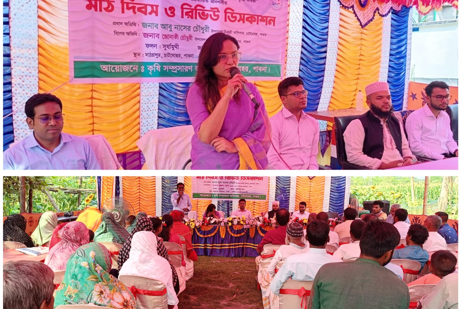 পাবনার চাটমোহরে তেলজাতীয় ফসল উৎপাদন বৃদ্ধিতে মাঠ দিবস ও রিভিউ ডিসকাশন