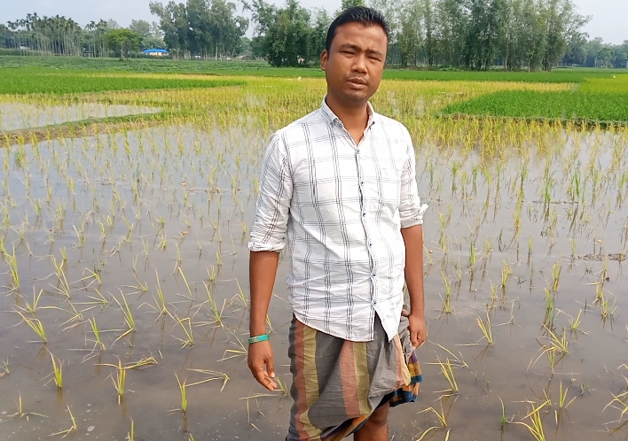 রাতের আঁধারে বিষের ছোবল: ২২ একর ধান নষ্ট, কৃষক তন্ময়ের পাশে দাঁড়ানোর আশ্বাস প্রশাসনের”