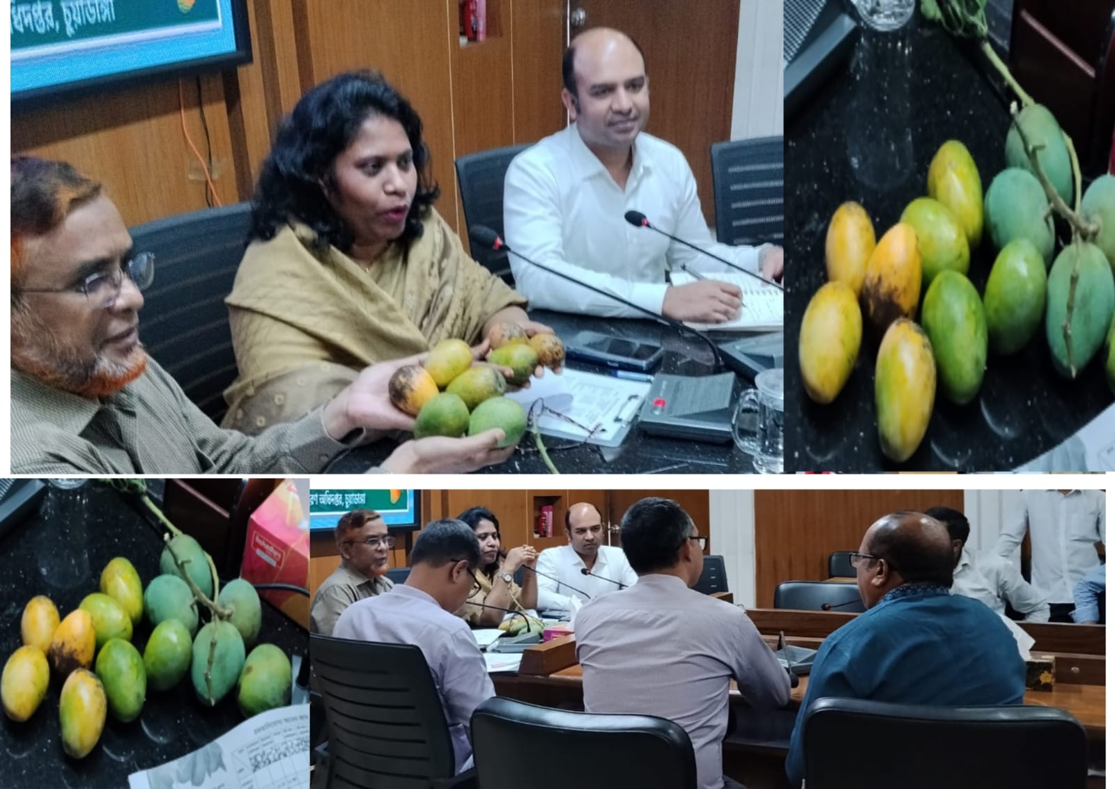 চুয়াডাঙ্গা জেলায় ৩০ হাজার ৮৪২ মেট্রিকটন উৎপাদনের লক্ষ্যমাত্রা নির্ধারণ করে ১৩ মে থেকে আম সংগ্রহ শুরু