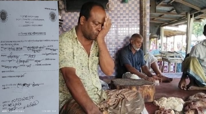 পীরগাছায় অসুস্থ গরুর মাংস বাজারজাতের অভিযোগ, নজরদারি নিয়ে প্রশ্ন