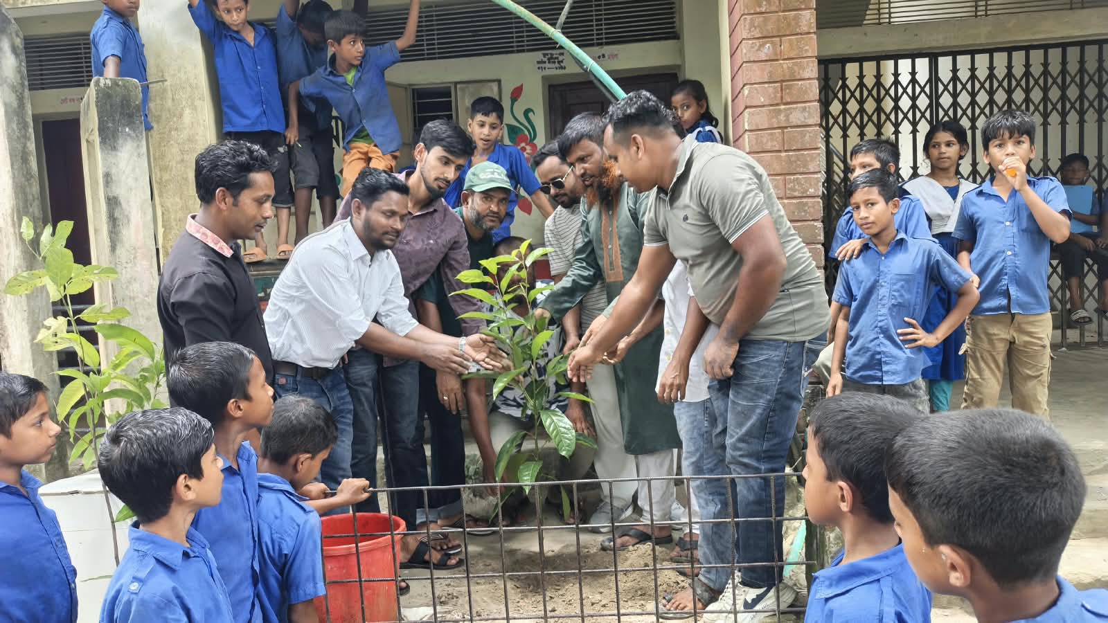 লাখাইয়ে স্বেচ্ছাসেবক দলের প্রতিষ্ঠাবার্ষিকীতে বৃক্ষরোপণ কর্মসূচি