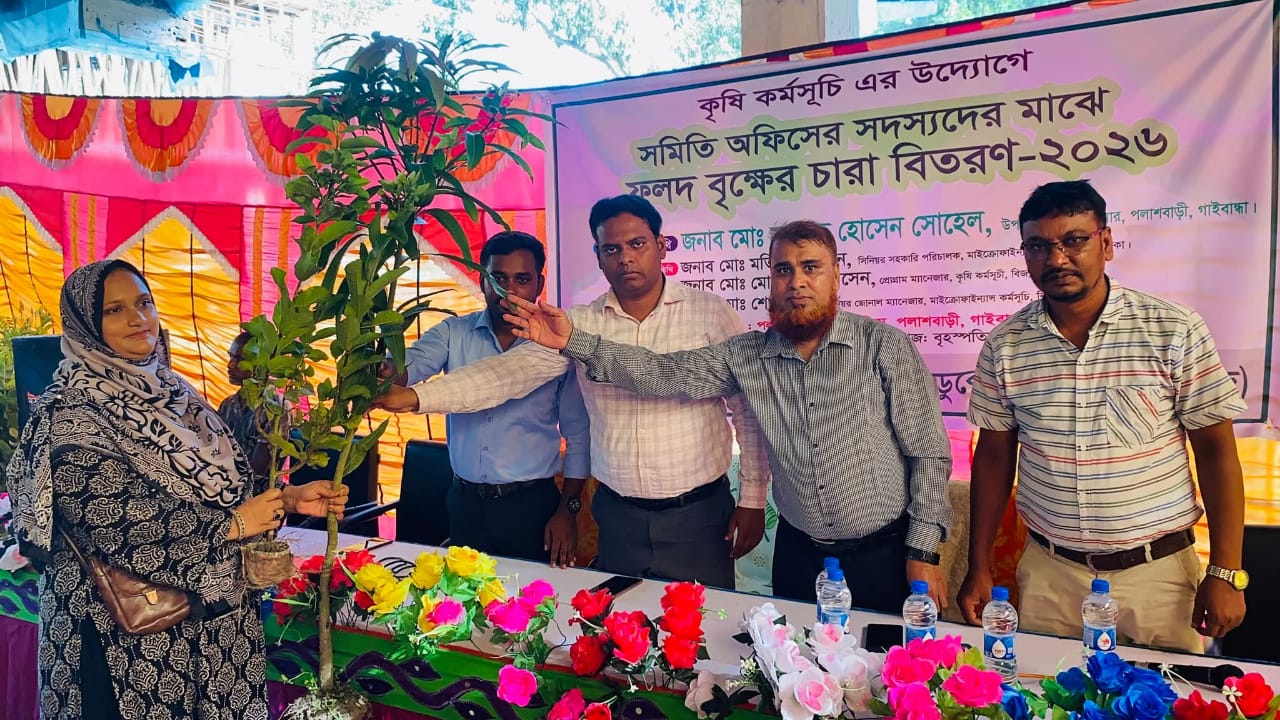 পলাশবাড়ীতে বিজ এনজিও কৃষি কর্মসূচির উদ্যোগে উপকারীভোগীদের মাঝে ১২০০ ফলদ বৃক্ষের চারা বিতরণ