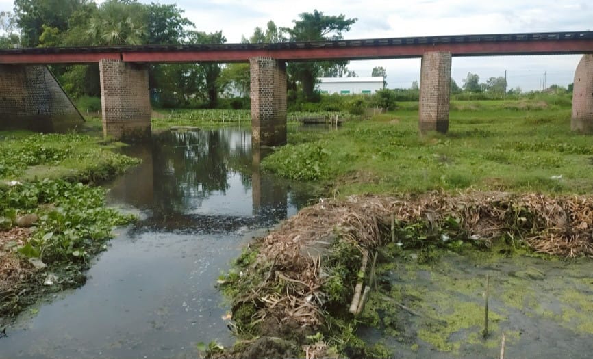 আদমদীঘিতে বর্জ্য পরিশোধনাগার ছাড়াই চলছে চালকল, দূষিত হচ্ছে খাল-ফসলি জমি